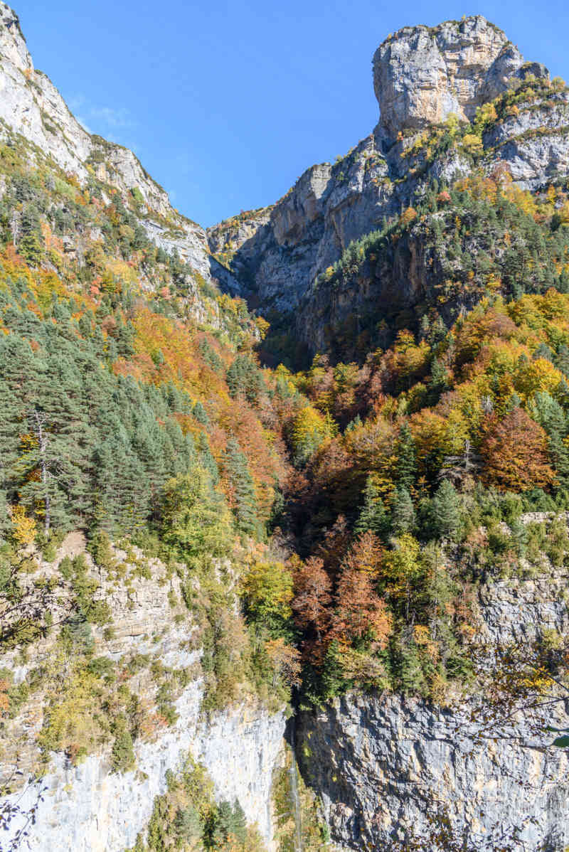 Huesca - parque nacional de Ordesa y Monte Perdido - valle de Añisclo 50 - cañon de Añisclo.jpg